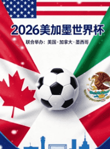 球迷在体育场欢呼庆祝世界杯